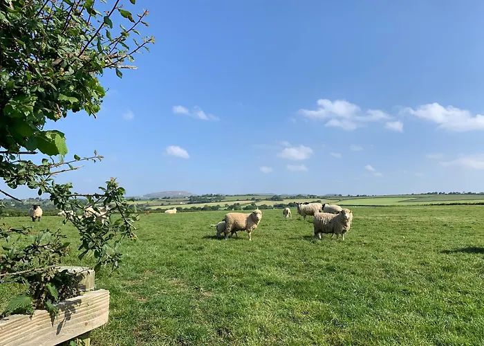 Rescorla Retreats - Ivory